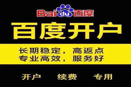 SEM主管实战：案例分析与优化策略
